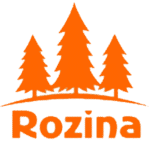 رزینا